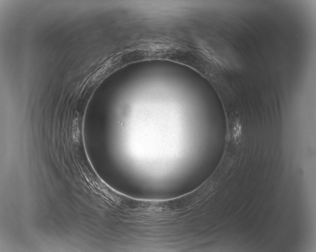 X0000086041204200703301030