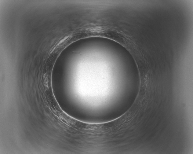 X0000086041205200703301030