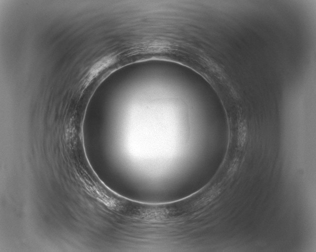 X0000086041210200703301030