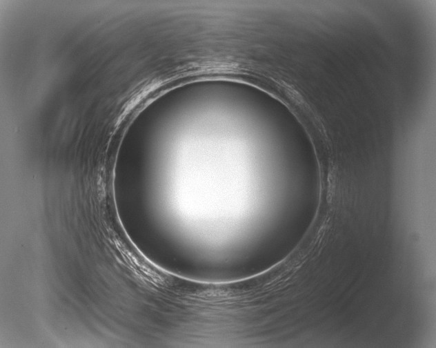 X0000086041212200703301030