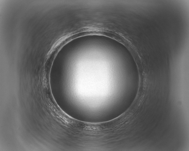 X0000086041215200703301030