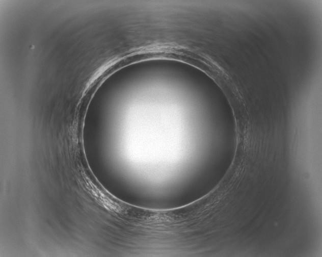 X0000086041216200703301030