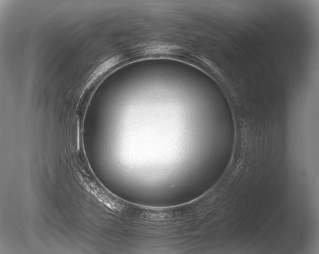 X0000086041219200703301030