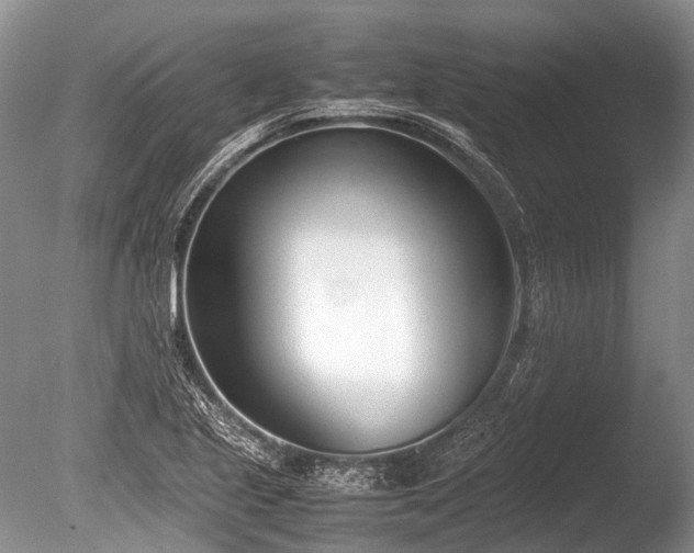 X0000086041221200703301030