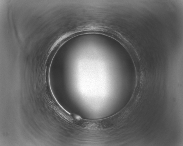 X0000086041222200703301030