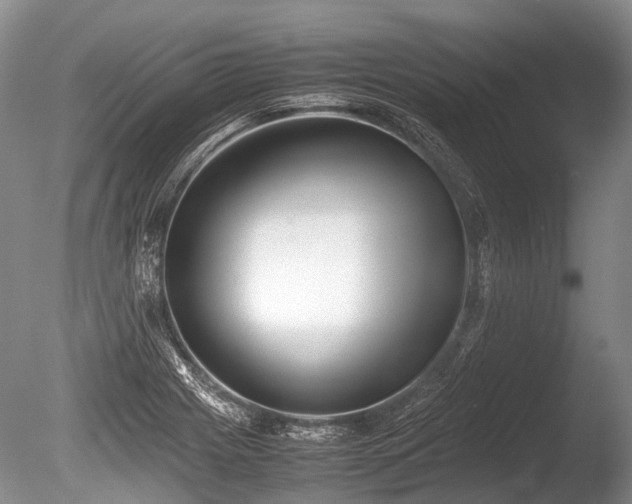 X0000086041225200703301030
