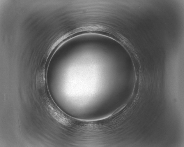X0000086041226200703301031
