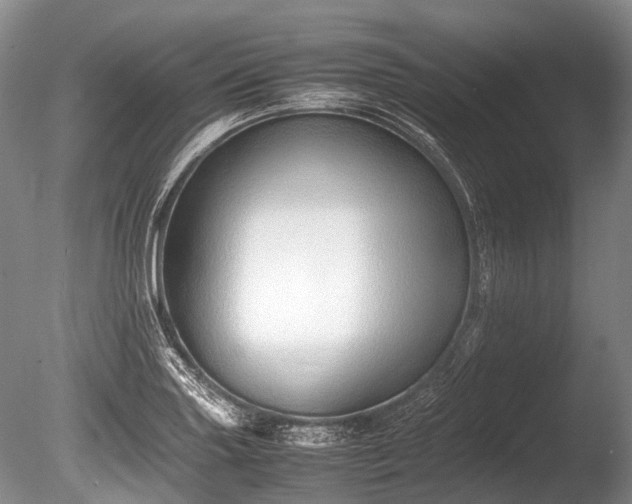 X0000086041227200703301031