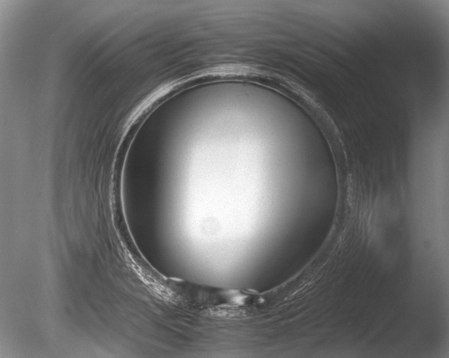 X0000086041229200703301031