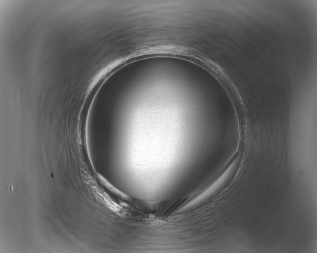 X0000086041230200703301031
