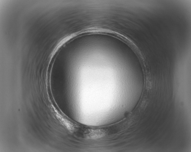 X0000086041231200703301031