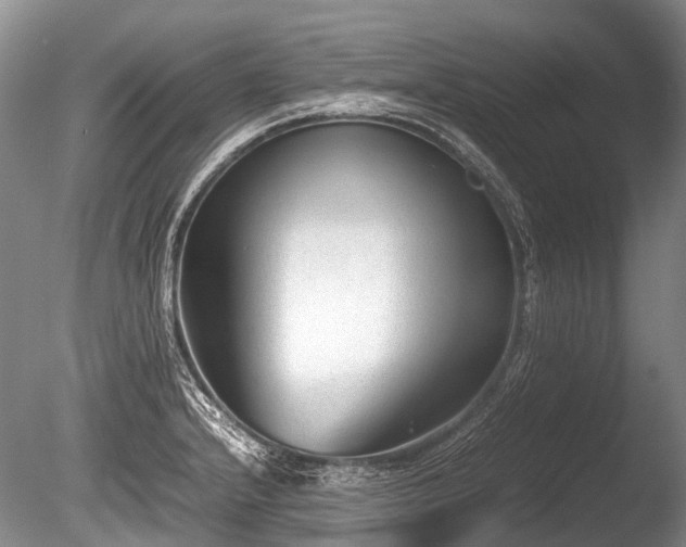 X0000086041232200703301031