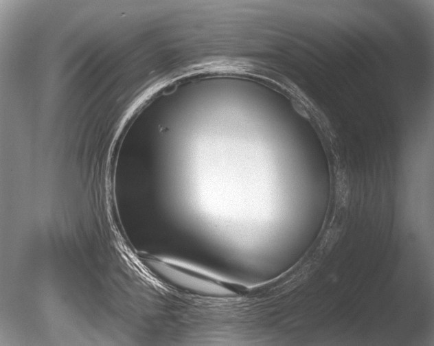 X0000086041240200703301031