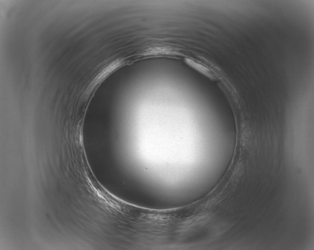 X0000086041241200703301031