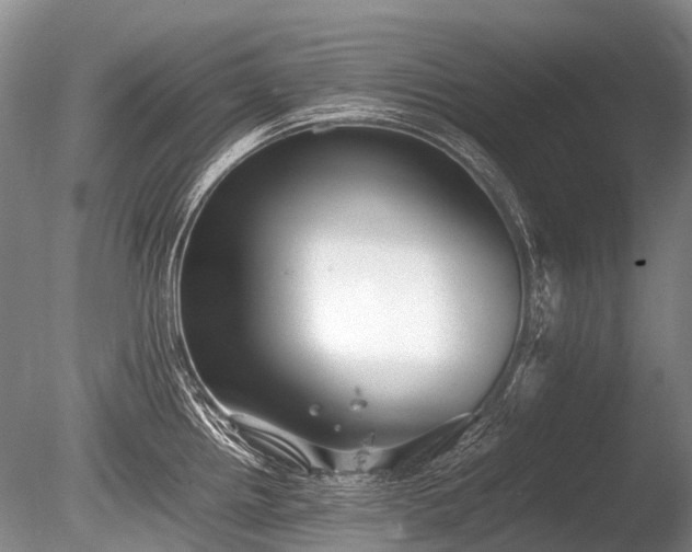 X0000086041242200703301031