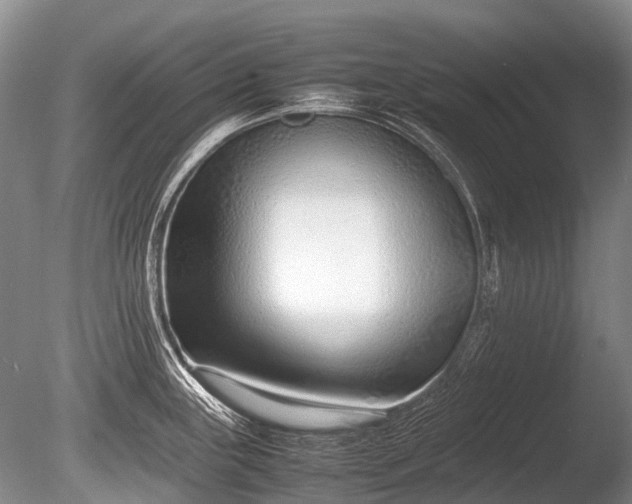 X0000086041243200703301031