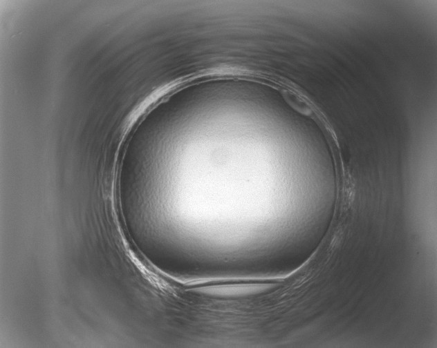 X0000086041245200703301031