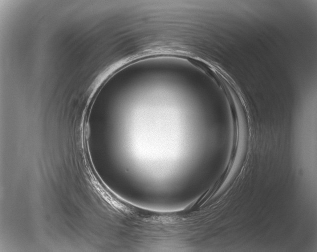 X0000086041246200703301031