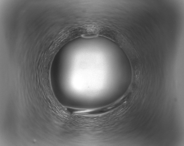 X0000086041249200703301030