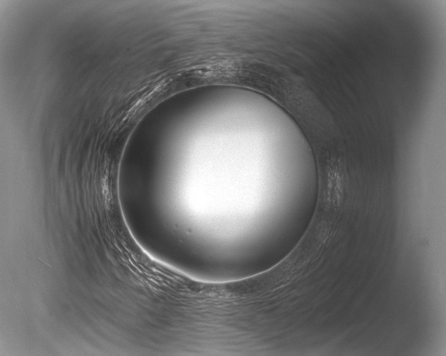 X0000086041250200703301030
