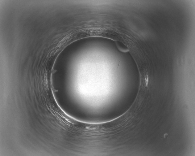 X0000086041252200703301030