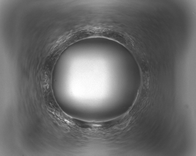 X0000086041253200703301030