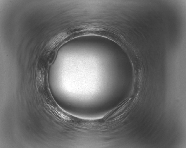 X0000086041257200703301030