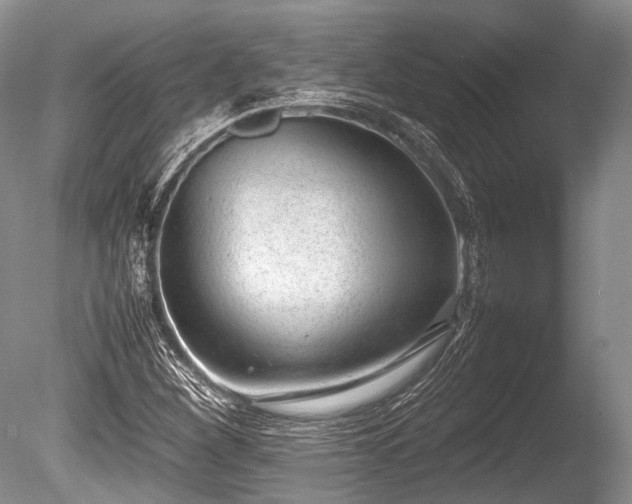 X0000086041260200703301030
