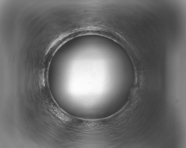 X0000086041262200703301030