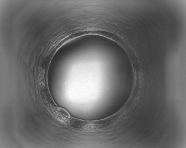X0000086041265200703301030