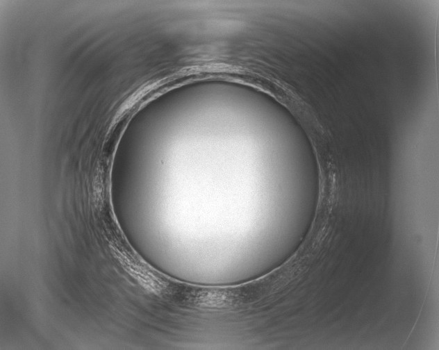 X0000086041266200703301030