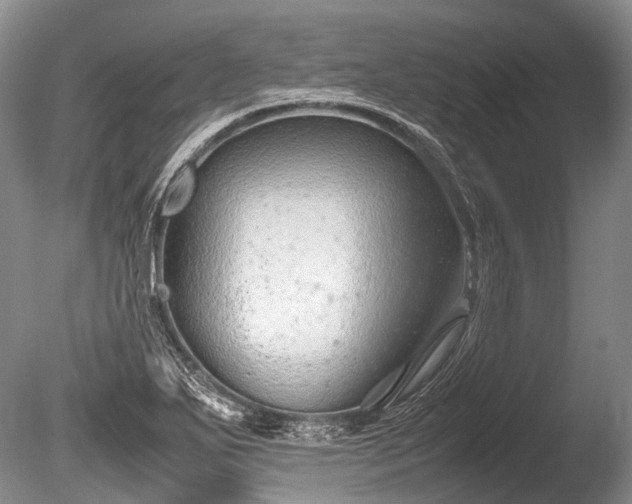 X0000086041271200703301030