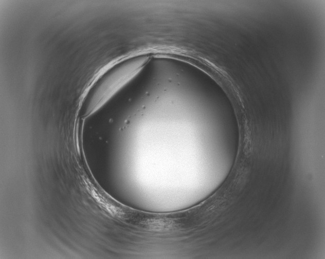 X0000086041272200703301030