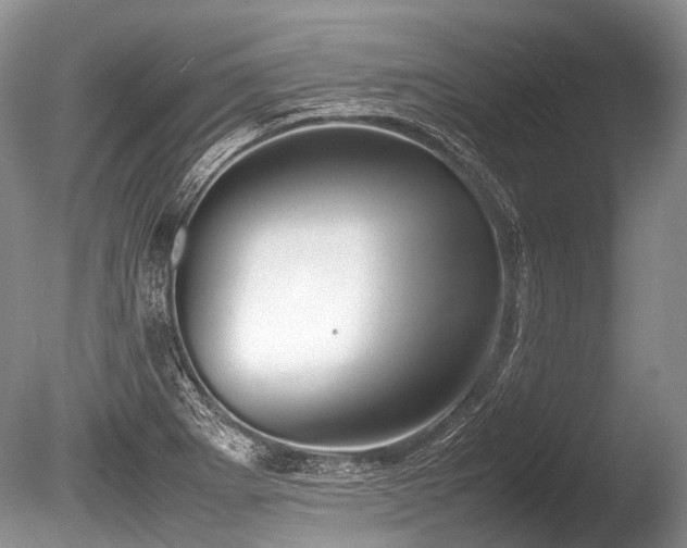 X0000086041273200703301030