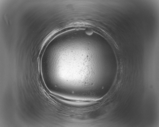 X0000086041275200703301030