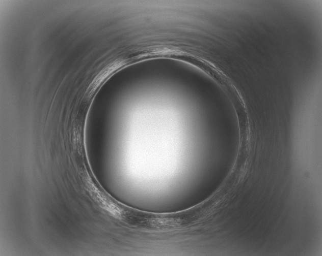 X0000086041281200703301030