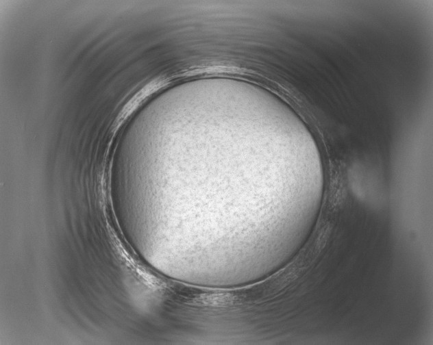 X0000086041282200703301029