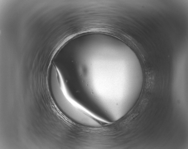 X0000086041284200703301029