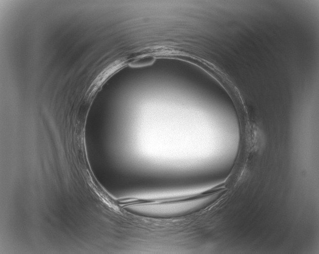 X0000086041289200703301029