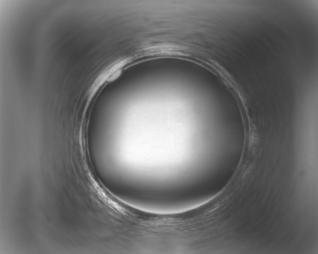 X0000086041293200703301029
