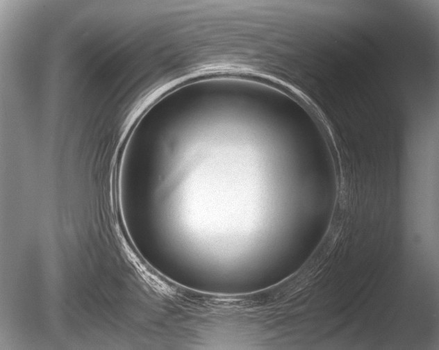 X0000086041295200703301029