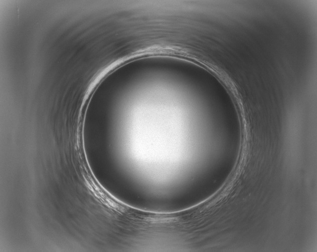 X0000086041296200703301029