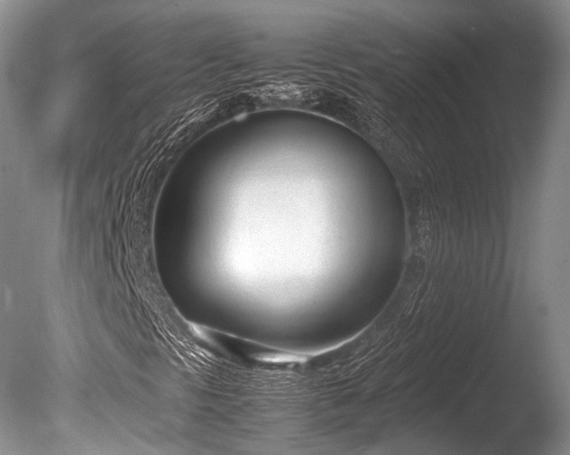 X0000086041297200703301028