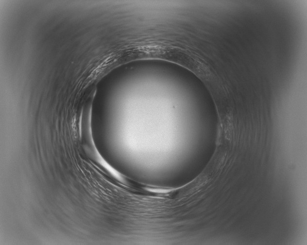 X0000086041298200703301028