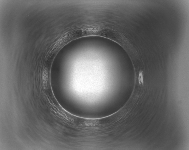 X0000086041299200703301028