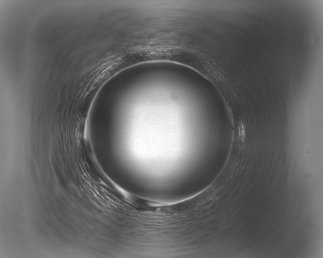 X0000086041300200703301028
