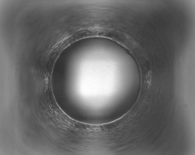 X0000086041302200703301029
