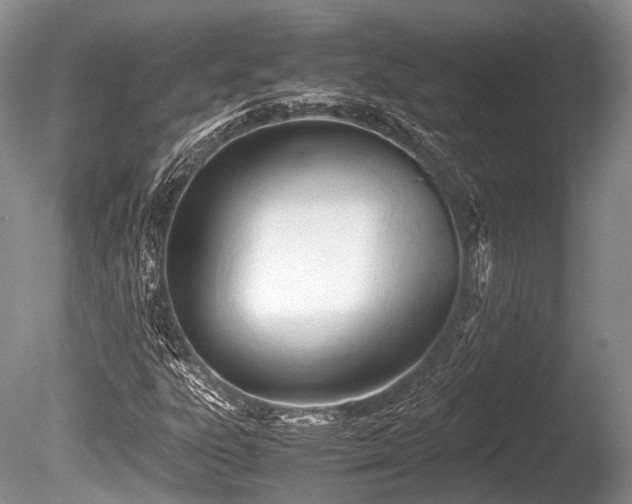 X0000086041303200703301029