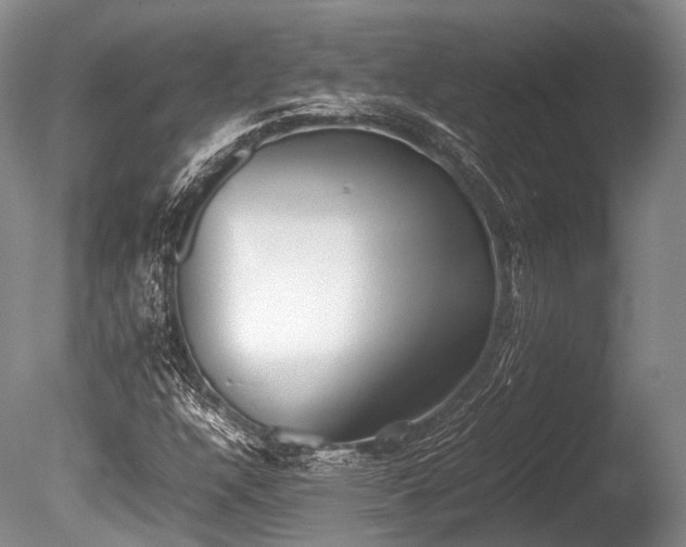 X0000086041304200703301029