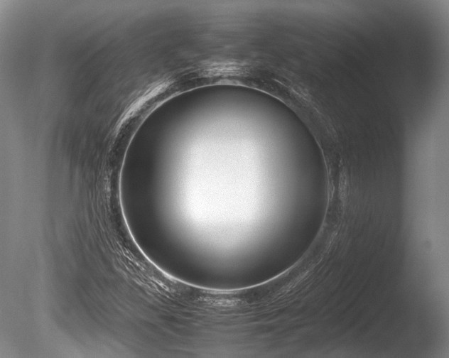 X0000086041309200703301029